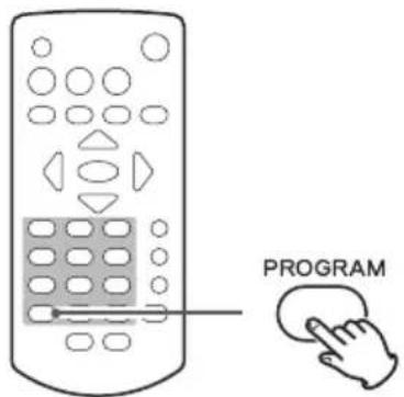 TEAC PD-301DAB - Premere il pulsante Play/Pause (▶ /II) per avviare la riproduzione programmata. - 1