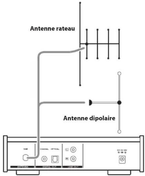 Antenne rateau Antenne dipolaire