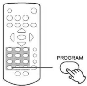 TEAC PD-301DAB-X - Tryck på PROGRAM-knappen. - 2