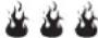 Char-Broil 13301719 - Sachez quand votre feu est prêt - 3