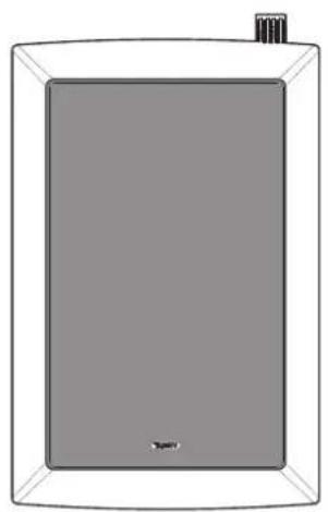 TANNOY iW 62DS - 2