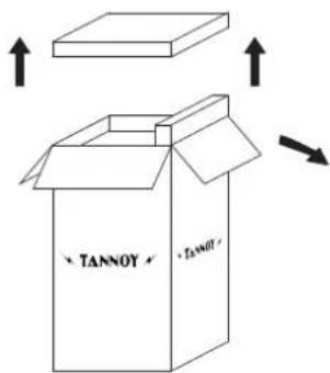 TANNOY Arden - Disimballaggio - 1