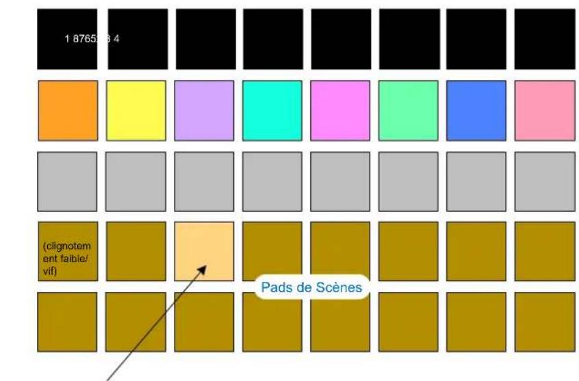 NOVATION Circuit Rhythm - Assigner des Patterns à des Scènes - 1