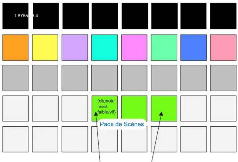 NOVATION Circuit Rhythm - Chaîner les Scènes pour Créer un Arrangement - 1