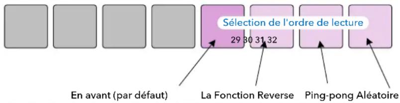 NOVATION Circuit Rhythm - Le Sens de la Lecture - 1