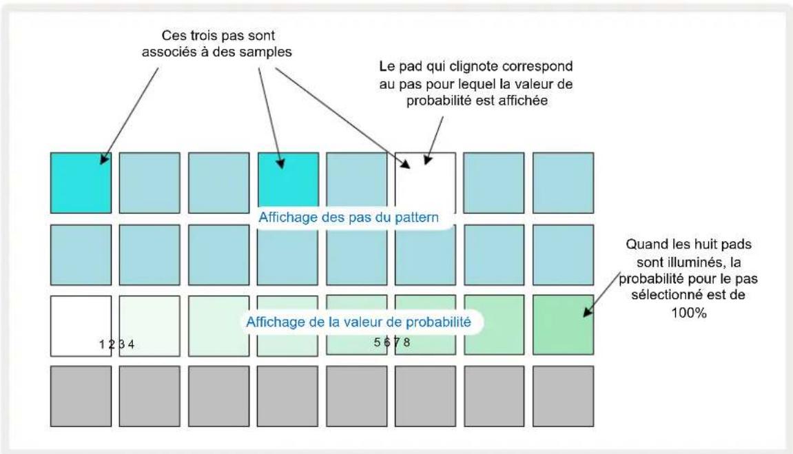 NOVATION Circuit Rhythm - Les Probabilités - 1