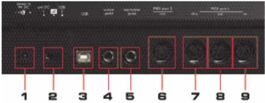 NOVATION 61 SL MkII - CONNEXIONS DE LA FACE ARRIÈRE - 1