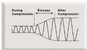 FOCUSRITE Platinum Penta - Discrete Transistor Input Stage - 1