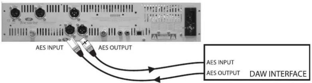 FOCUSRITE The Liquid Channel - Entrée/sortie numérique mono pour insertion en numérique, 44.1-192 kHz - 1