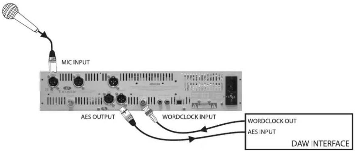 FOCUSRITE The Liquid Channel - Sortie numérique, Liquid Channel™ est esclave de l'horloge Wordclock - 1