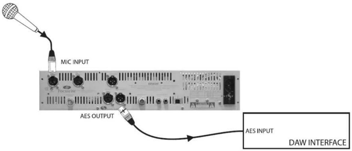FOCUSRITE The Liquid Channel - Sortie numérique, Liquid Channel™ est l'horloge maître - 1