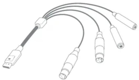 FOCUSRITE Forte - Câble d'entrée épanoui - 1