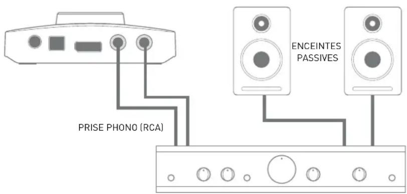 FOCUSRITE Forte - Branchement de la Forte aux enceintes - 2