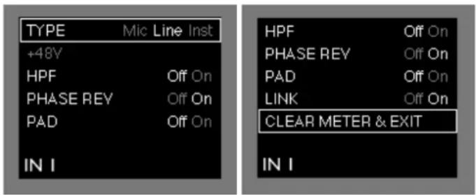 FOCUSRITE Forte - Menu du mode d'entrée - 1