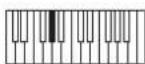 NOVATION AFX Station - LFO : Keysync LFO 1 (so/ du bas) - 1