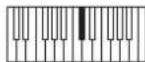 NOVATION Bass Station II - LFO:Slew LFO 1 (si du bas) - 2