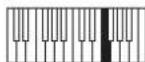 NOVATION Bass Station II - Velocity: Mod Env (mi du haut) - 1