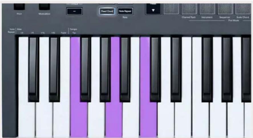 NOVATION FLkey 37 - La Fonction Fixed Chord - 2