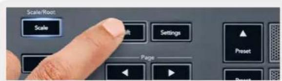 NOVATION FLkey 37 - Voir les sélections du Channel Rack - 1
