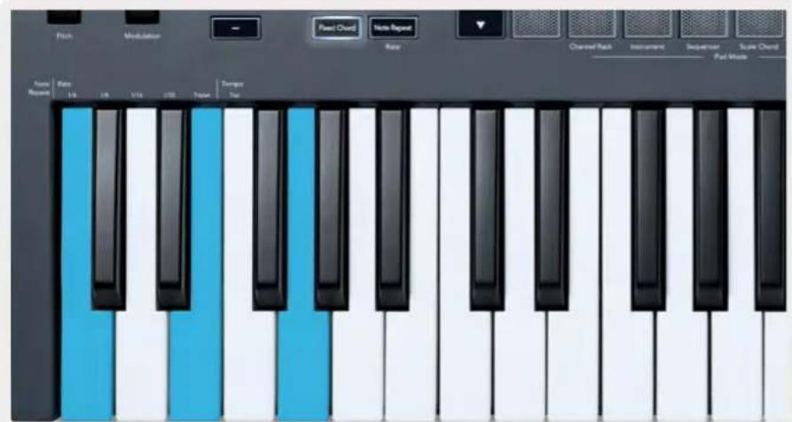 NOVATION FLkey 37 - La Fonction Fixed Chord - 1