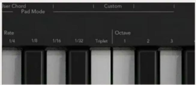NOVATION Launchkey 88 MK3 - Les vitesses de l'arpégiateur - 1