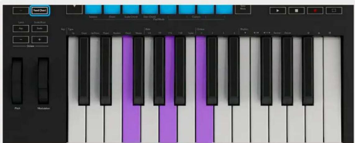 NOVATION Launchkey 88 MK3 - La fonction Fixed Chord - 3