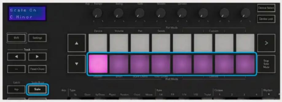 NOVATION Launchkey 88 MK3 - La fonction Fixed Chord - 4