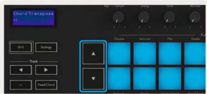 NOVATION Launchkey 88 MK3 - Le mode User Chord - 4