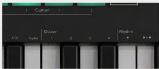 NOVATION Launchkey 88 MK3 - Les octaves de l'arpégiateur - 1