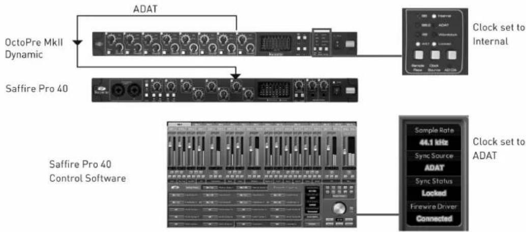 FOCUSRITE OctoPre MKII Dynamic - OctoPre MkII Dynamic with Audio Interface: OctoPre MkII Dynamic as Clock Source Master - 1