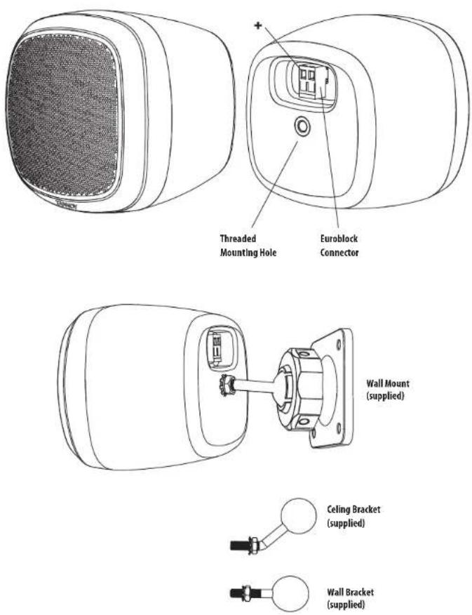 TANNOY SAT SUB - Identificación de características del producto - 1