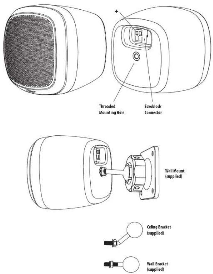 TANNOY SAT SUB - Identificazione delle caratteristiche del prodotto - 1