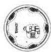 TANNOY CMS 503DC BM - CMS 803DCQ - 6