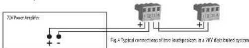 TANNOY CVS 301 - Wiring and Setting Up - 4