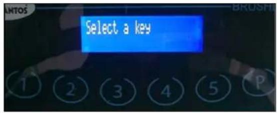 Santos N° 62 - Gepersonaliseerd menu - 1
