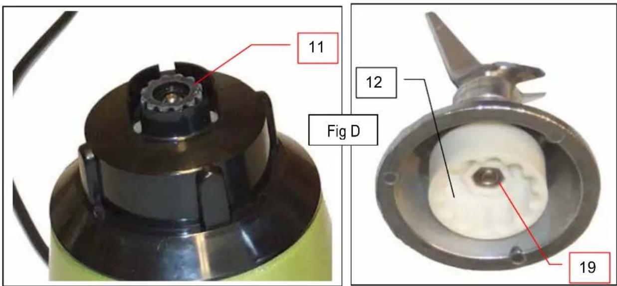 Santos N° 33 - IMPORTANT: (Fig. D). - 1