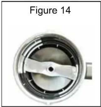 Santos N° 65 - FIGURES - 14