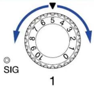SIG 1