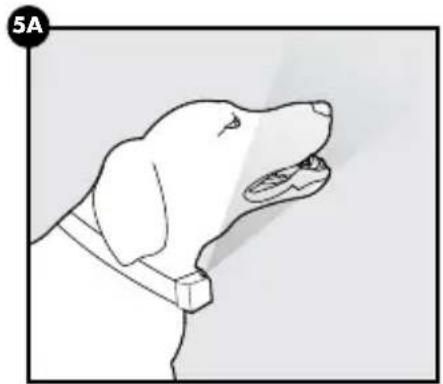 PETSAFE PBC00-16368 - Asegúrese del tipo de emisión del spray - 1