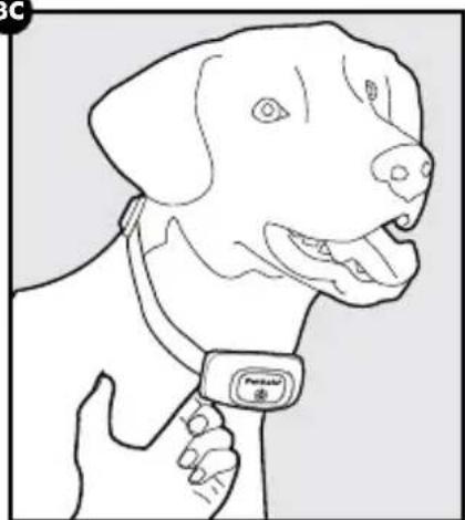 PETSAFE PBC00-16368 - CAUTION - 3