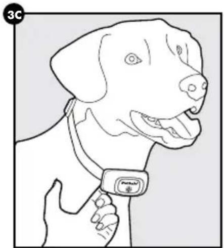 PETSAFE PBC00-16368 - VOORZICHTIG - 3
