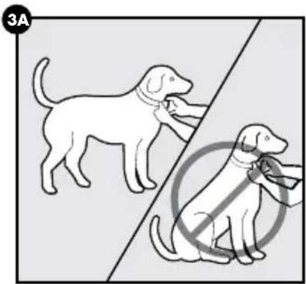 PETSAFE PBC00-16368 - ATENCIÓN - 1