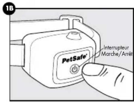 PETSAFE PBC00-16368 - Bienvenue - 1