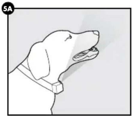 PETSAFE PBC00-16368 - Ensure a Proper Spray Pattern - 1