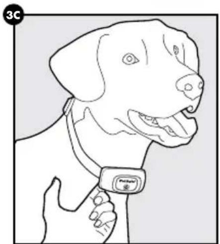 PETSAFE PBC00-16368 - VORSICHT - 3