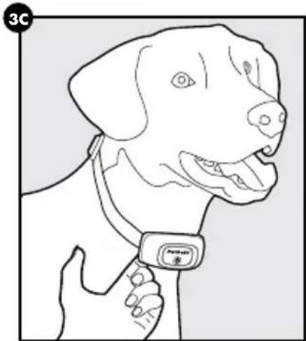 PETSAFE PBC00-16368 - ATTENTION - 3