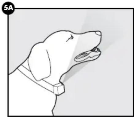 PETSAFE PBC00-16368 - Gewährleisten Sie ein richtiges Sprühmuster - 1