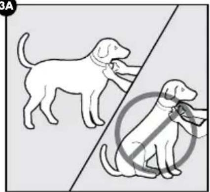 PETSAFE PBC00-16368 - CAUTION - 1