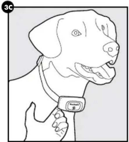 PETSAFE PBC00-16368 - ATTENZIONE - 3
