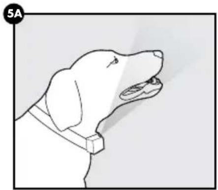 PETSAFE PBC00-16368 - Voor een goed spraypatroon zorgen - 1